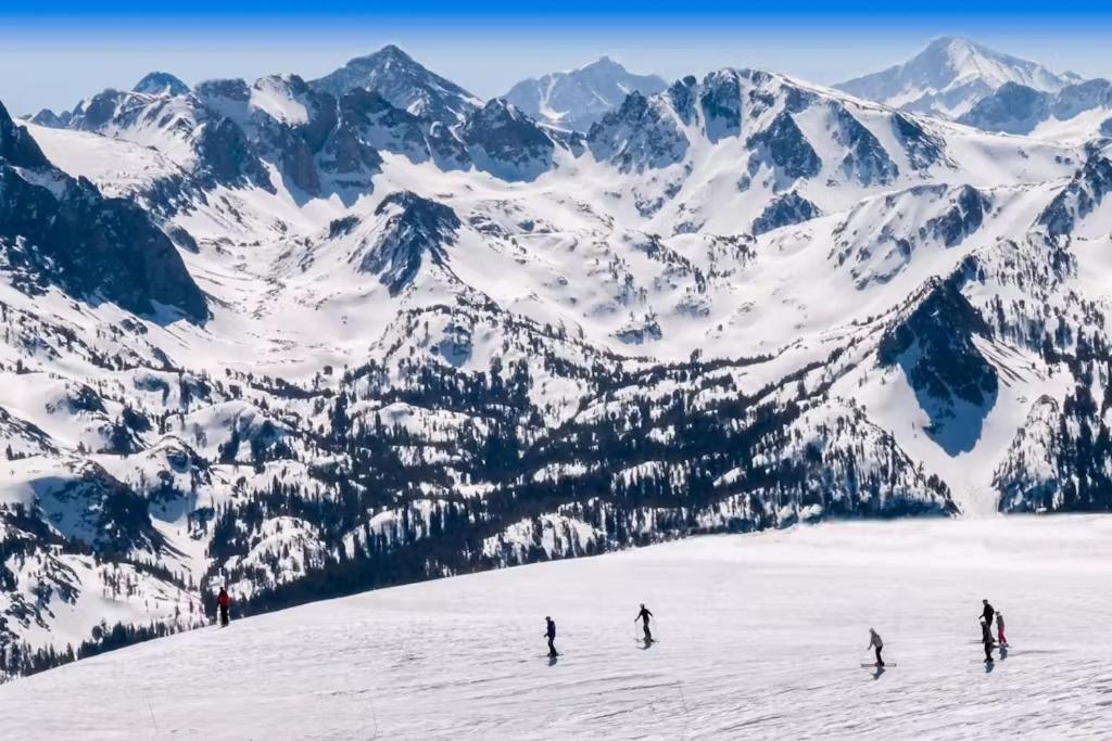 Mammoth View 21